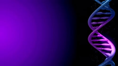 DNA Molecule, double helix strands