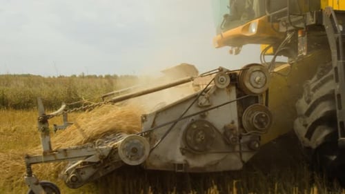 Harvesting Machine Cutting Grain Crop in Rural Field