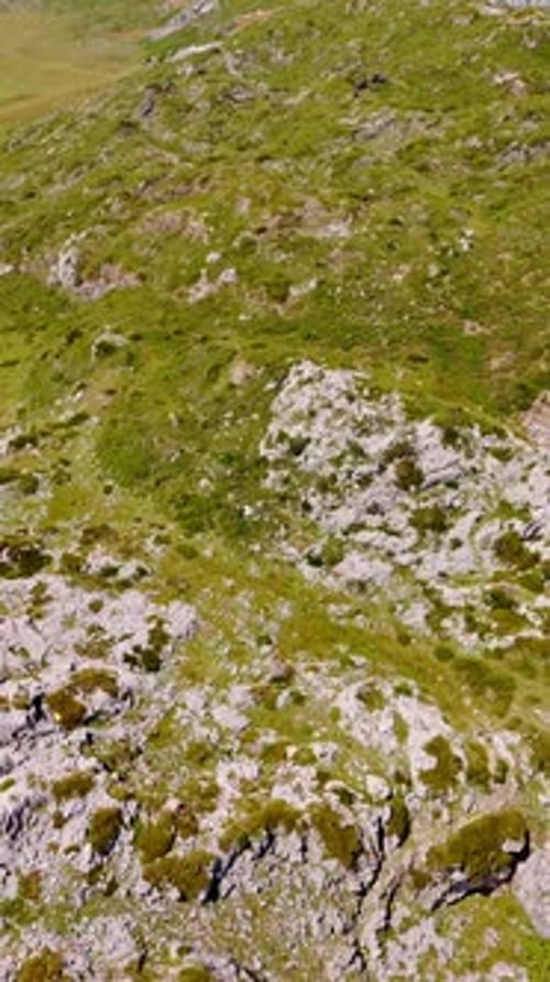Mountain Lake Aerial View in Remote Wilderness