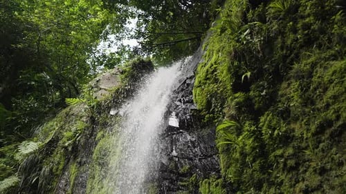 Lush Waterfall Cascading Down Mossy Cliff