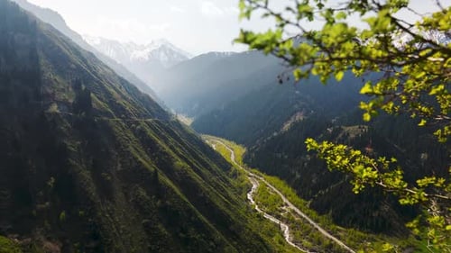 Blooming White Apple Flowers in the Mountain Valley