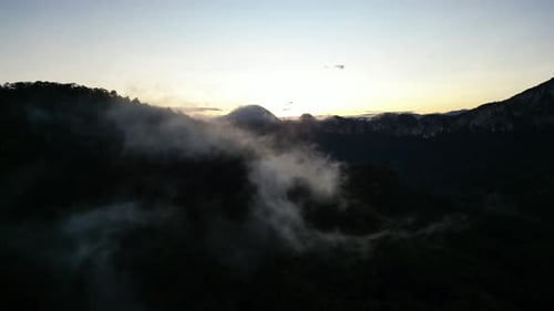Silhouette bird's-eye view of plantation covered in soft white cloud layer