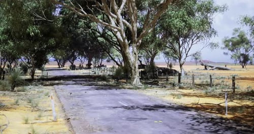 Wide View of a Dusty Road Lined with Trees in a Remote Desert Landscape