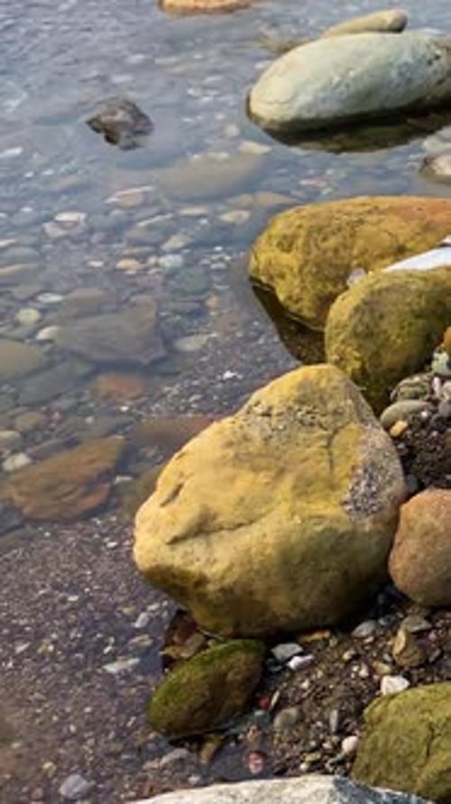 Plastic Waste and Pollution Along Rocky River Shoreline