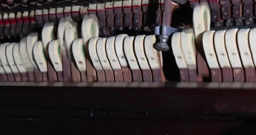 Get the Professional Hammer and Prepare to Repair the Piano Mechanism Gavel with a Professional