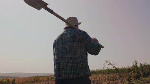 Harvesting the Land Aged Farmer with Shovel Back View and Tracking Shot