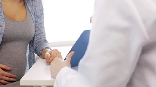 Pregnant Woman Consults with Doctor in Clinical Setting