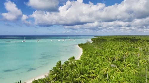 Frente a la playa bordeado de palmeras de la isla Saona en la costa este de la República Dominicana