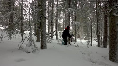 Photographer Hiking Through The Snowy Forest