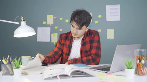 Young Adult Studies and Works From Home