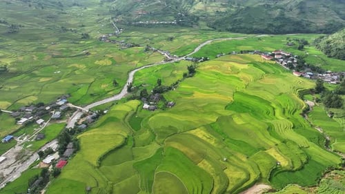 Aerial view of rice terraces field in Mu Cang Chai, Vietnam. Nature background