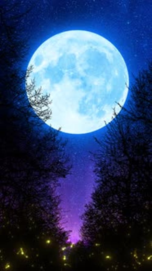 Wunderschöner Mond durch Wald und Glühwürmchen
