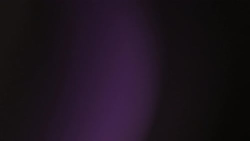 Illuminate Collection: Fading out light leaks with an ambient purple hue