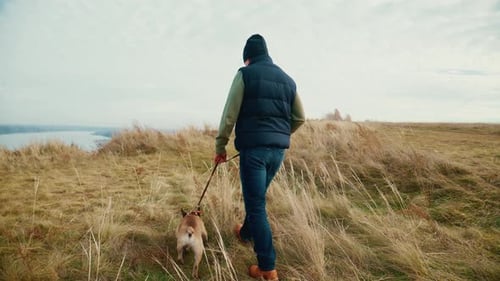 Adventurous Stroll A Person Enjoys a Peaceful Walk with Their Dog Along the Scenic Meadow