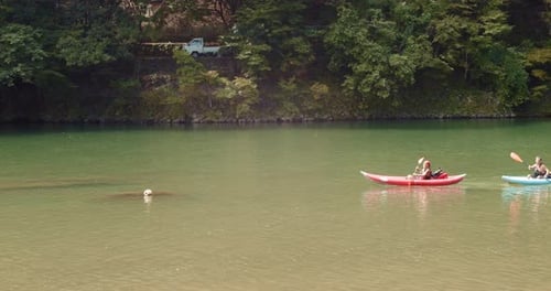 Slide shot of people kayaking down a river in Kyoto, Japan 4K slow motion