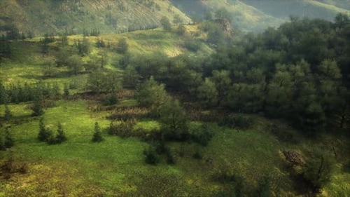Aerial View of Lush Green Forest in German Alps