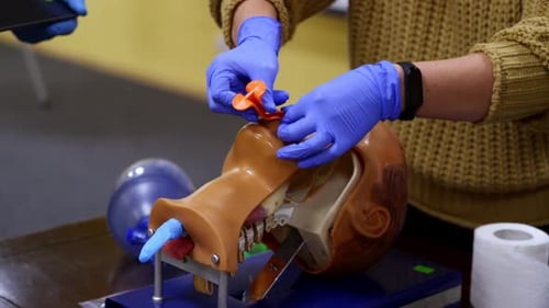 Medical Training Aid being Prepared for Instruction