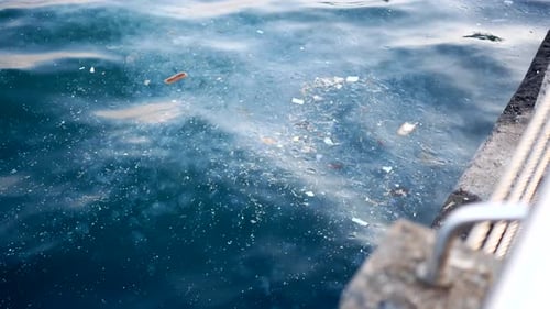 Sea Water Pollution with Garbage