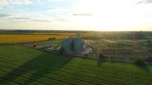 Modern Grain Silos At The Field Of Blooming Sunflowers 38