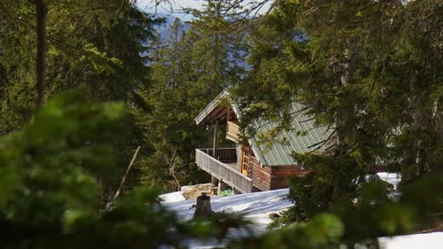 Mountain Cabin With Tall Pine Trees In Winter.