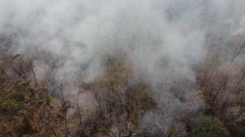 Aerial drone view of a wildfire burning through a forest area, fills the sky with dark smoke