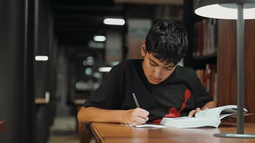 Boy Studying In The Library