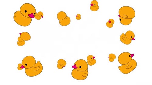 Birda Alpha Animation