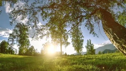 Mountain Meadow Timelapse at the Summer or Autumn Time Wild Nature and Rural Field Motorised Slider
