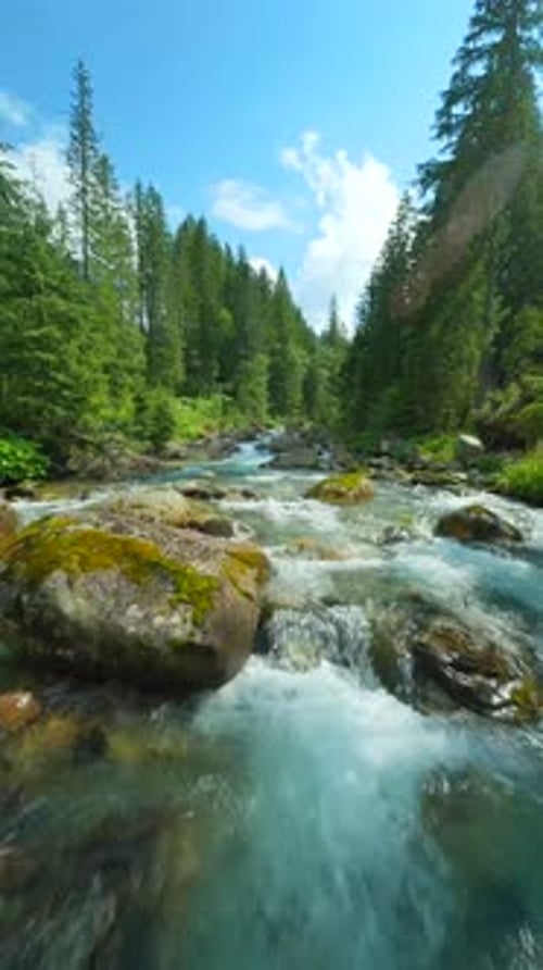 Flight Over a Mountain River Shot on FPV Drone Tatra Mountains Slovakia