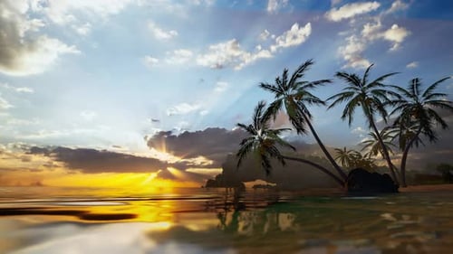 Sunrise On Tropical Island Sea Beach, Calm Ocean Sunset, Palm Tree Leaves Silhouette