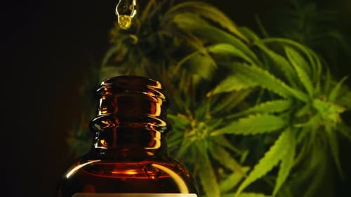 Frasco de vidro com tintura de cannabis THC para tratamento fitoterápico e medicina alternativa