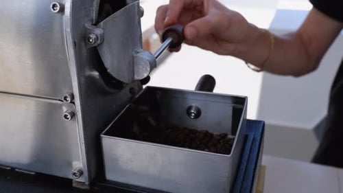 Freshly roasted coffee beans pour out of coffee roaster in Colombia