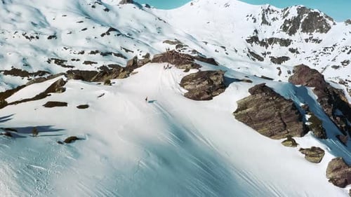 Les izards courent sur la crête d'une montagne.