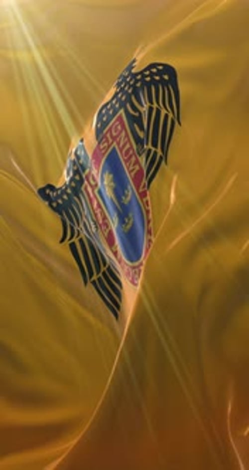 Vertical Waving Flag with Emblem and Bright Light