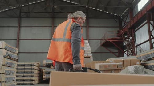 Worker Loading Pallet with Boxes in Storage Office