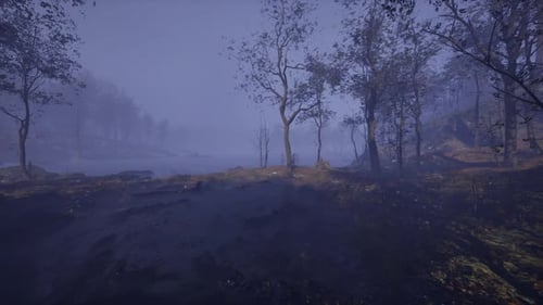 Unsettling Twilight View Featuring Fog and Reflective Water Surfaces