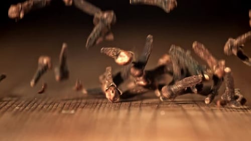 Cámara lenta de especias de clavo filmadas con una cámara de alta velocidad a 1000 fps