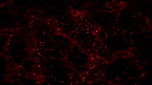 Blood Background. Halloween Background. Bloody Animation