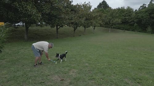 Old European Man Playing Throw Ball With Black and White Dog At The Park. wide tracking