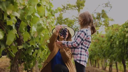 the Mother with the Hat Presents Her Daughter with a Red Grape