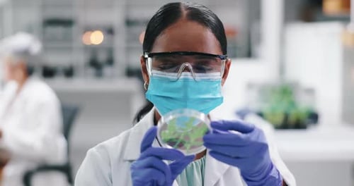 Science, mask and woman with plant sample in laboratory for research, safety