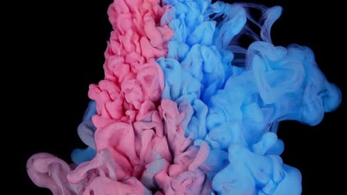 Abstract Pink and Blue Ink Cloud on Black