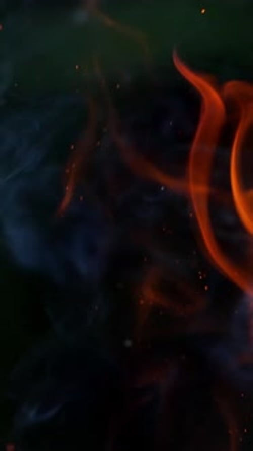 Beautiful burning fire. Burning firewood in the fireplace close up