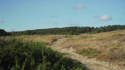 Close up on a walking path in the countryside ideal for orientation. Blue sky in the background. Som