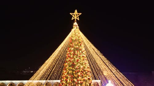 Illuminated Christmas Tree at Night in the City