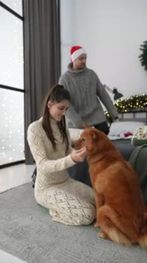 Woman Plays with Dog at Home During Christmas