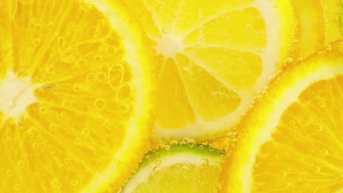 Bright Citrus Fruit Slices in Sparkling Water