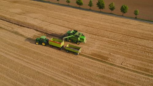 Un tractor y una cosechadora trabajan en un campo de trigo creando polvo mientras recolectan las cosechas bajo un azul claro