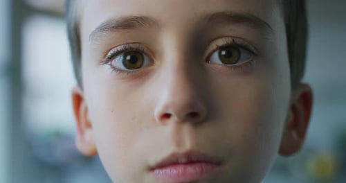 Close up portrait of a little boy with brown eyes looking in the camera on kitchen background. Sho