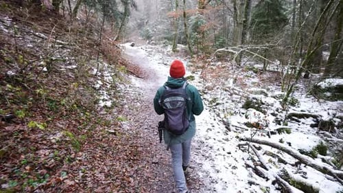 Tourist Guy With Backpack Walking On A Pathway In Wilderness During Winter. - Backview, Tracking